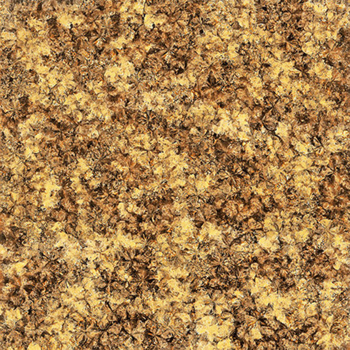 1xBET2.0厚微晶石：：：浅金啡KFB88012单片