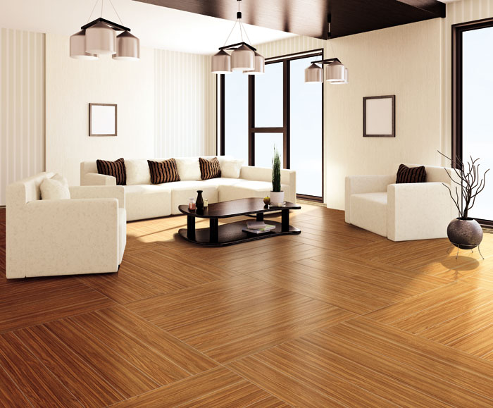 最美，，不过当阳光遇上森林